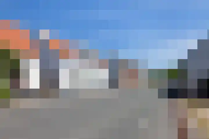 De Bree 30 Nieuwerbrug aan den Rijn thumbnail 46