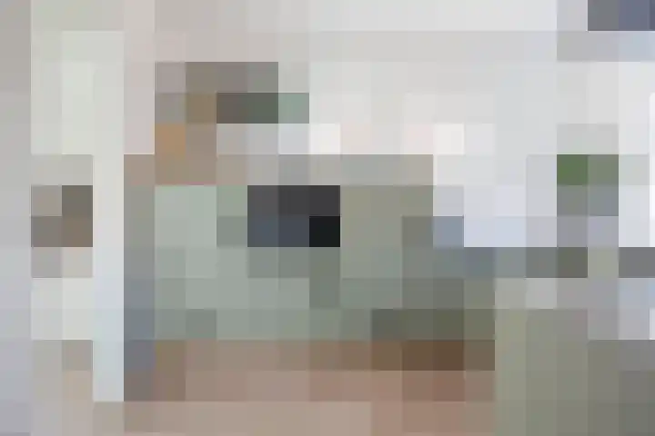 De Bree 30 Nieuwerbrug aan den Rijn thumbnail 6