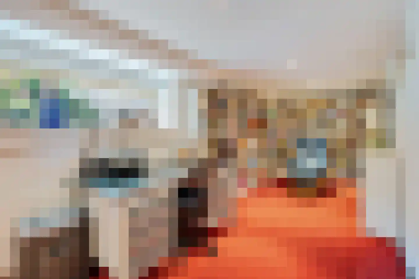 De Breeakker 1 Sellingen thumbnail 11