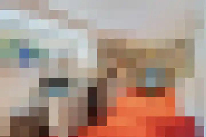 De Breeakker 1 Sellingen thumbnail 11