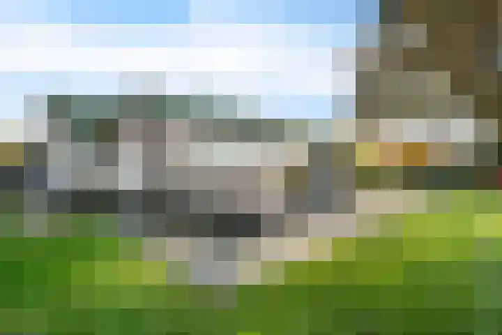 De Breeakker 1 Sellingen thumbnail 50