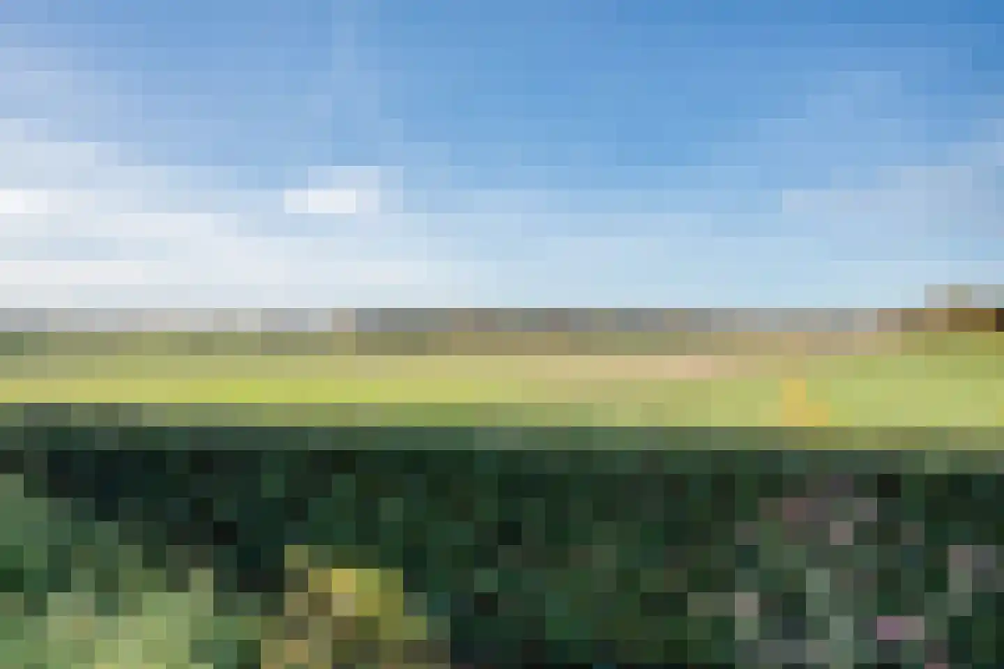 De Breeakker 1 Sellingen thumbnail 54