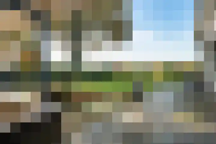 De Breeakker 1 Sellingen thumbnail 55