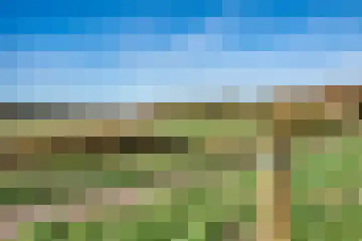 De Breeakker 1 Sellingen thumbnail 6