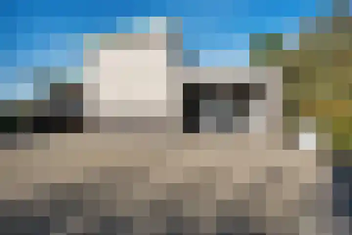 De Breeakker 1 Sellingen thumbnail 8