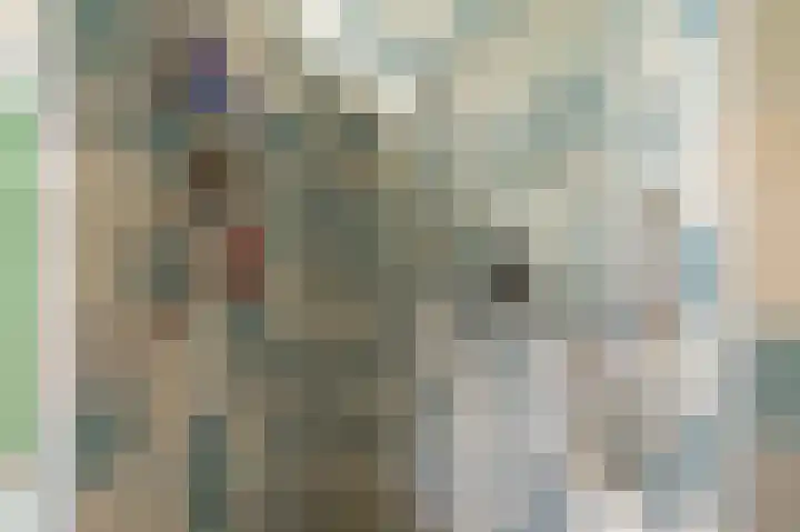 De Breeakker 5 Sellingen thumbnail 22