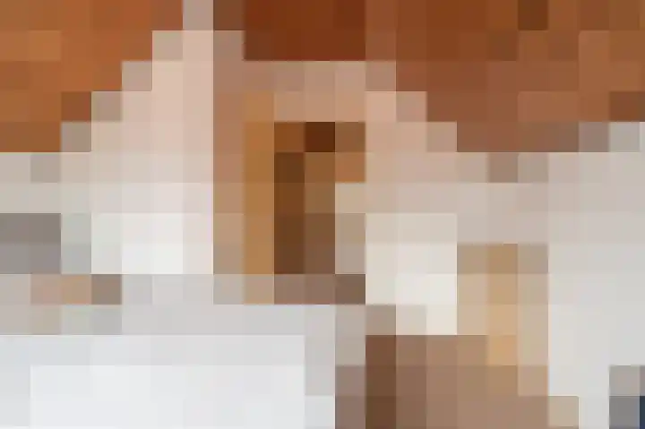 De Breeakker 5 Sellingen thumbnail 30