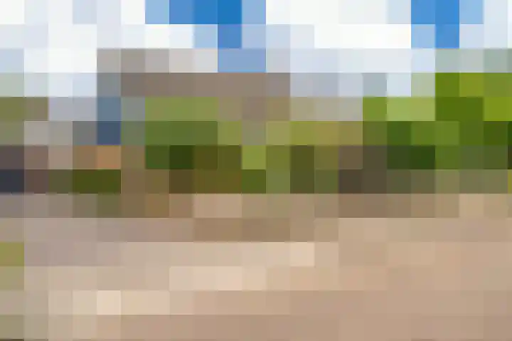 De Breeakker 5 Sellingen thumbnail 4