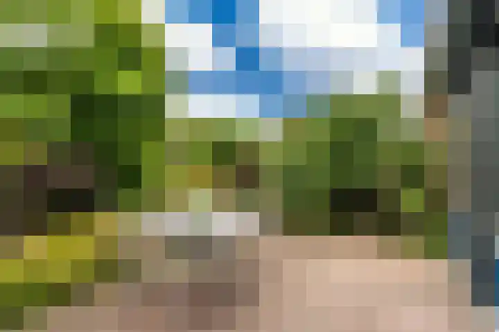 De Breeakker 5 Sellingen thumbnail 6
