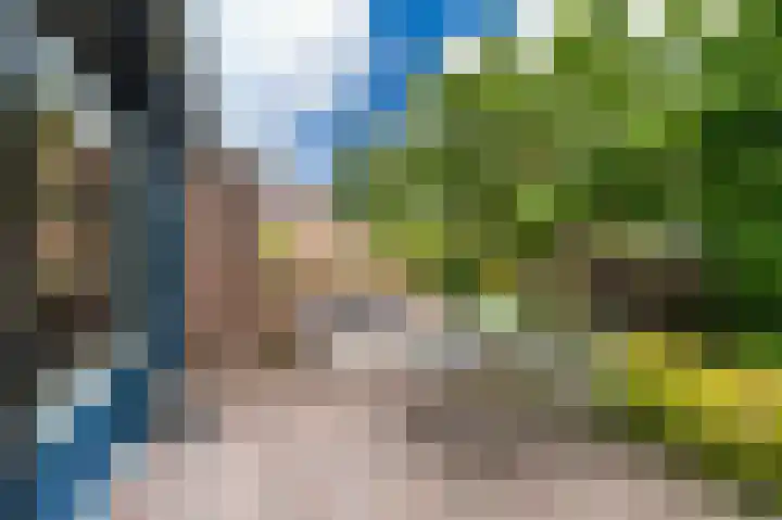 De Breeakker 5 Sellingen thumbnail 7