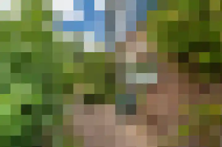 De Breeakker 5 Sellingen thumbnail 8