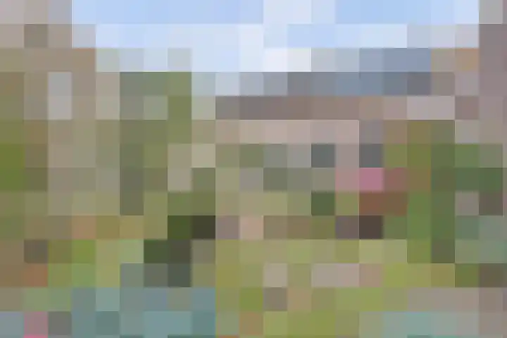 de Breehegge 6 Winterswijk Meddo thumbnail 5