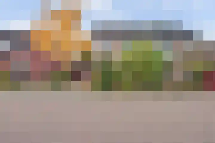 de Breehegge 6 Winterswijk Meddo thumbnail 6