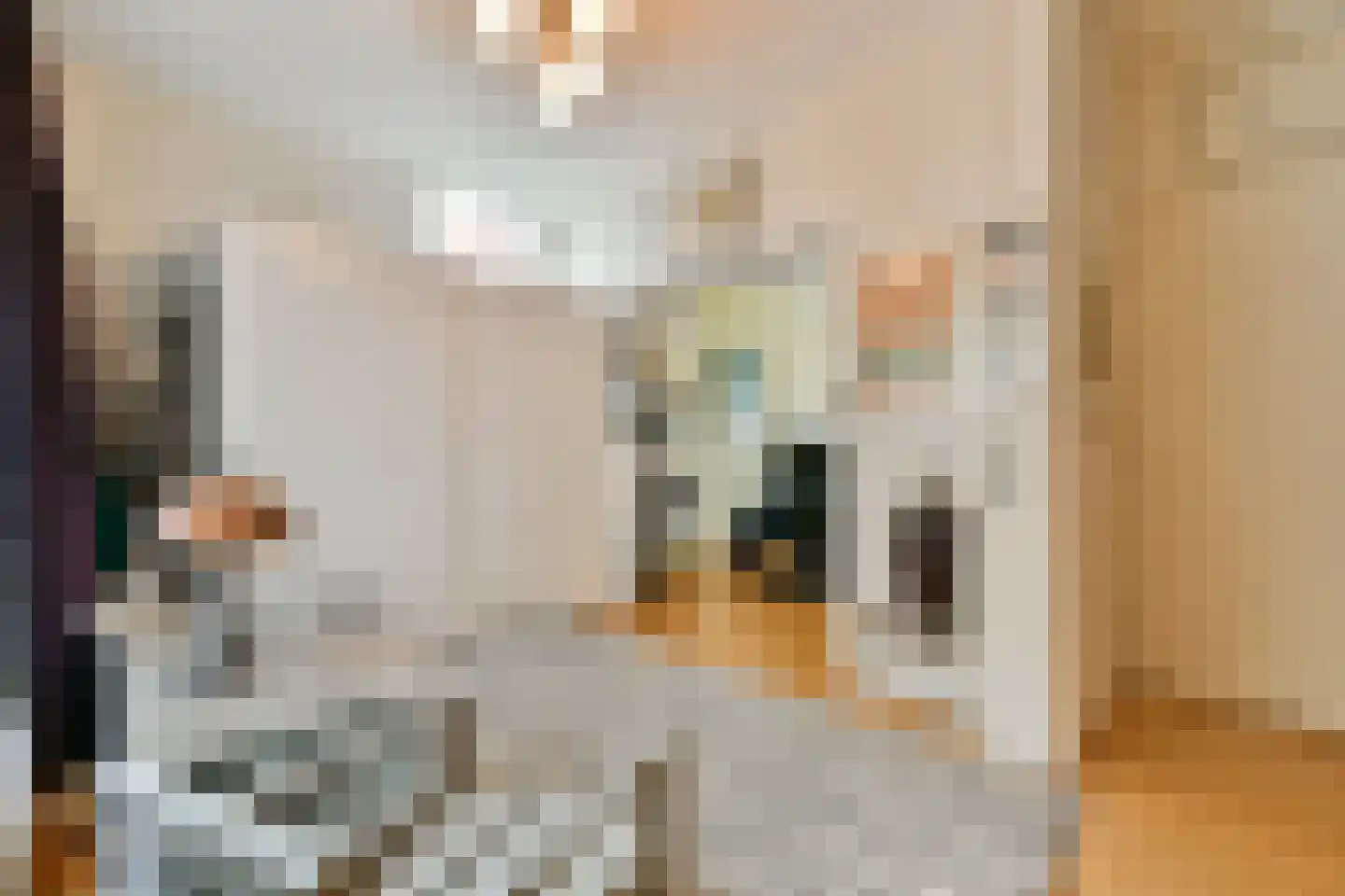 De Breekstraat 6 Amsterdam thumbnail 18