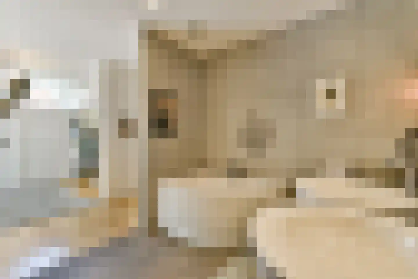 De Breekstraat 6 Amsterdam thumbnail 22