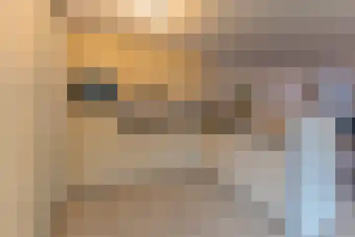 de Breel 2 Valkenswaard thumbnail 8