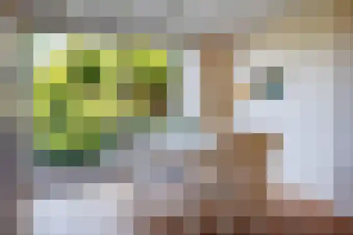 de Breelaan 17 Amerongen thumbnail 10