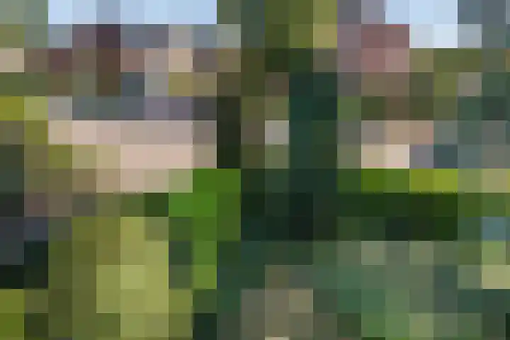 de Breelaan 17 Amerongen thumbnail 18