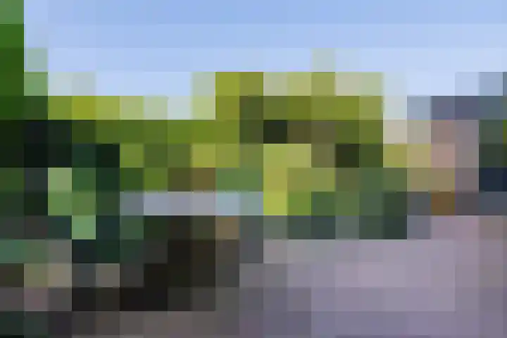 de Breelaan 17 Amerongen thumbnail 30