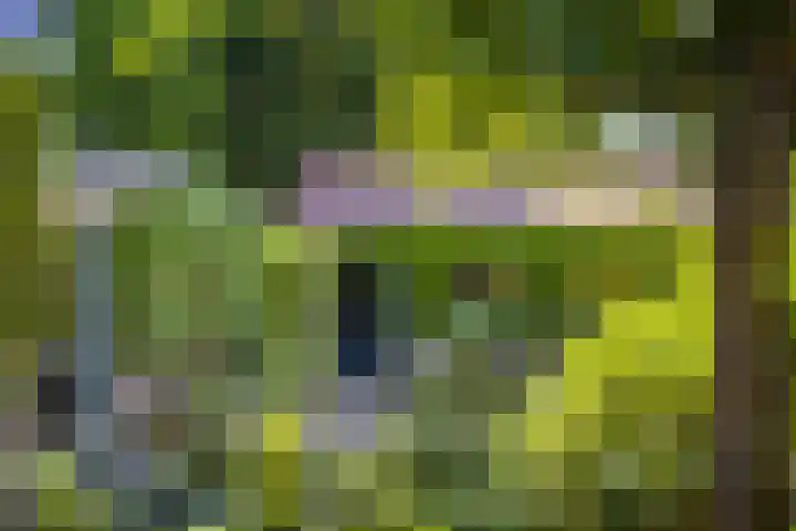 de Breelaan 17 Amerongen thumbnail 31