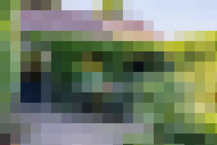 de Breelaan 17 Amerongen thumbnail 32