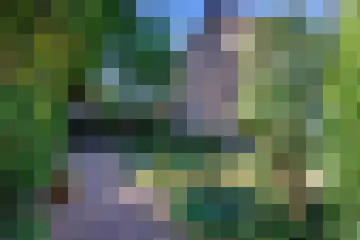 de Breelaan 17 Amerongen thumbnail 33