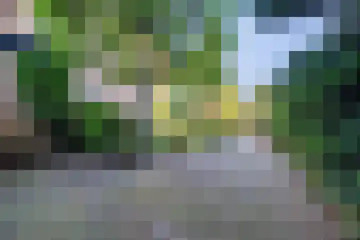 de Breelaan 17 Amerongen thumbnail 4