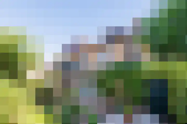 de Breelaan 17 Amerongen thumbnail 5
