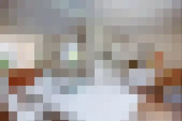 de Breelaan 17 Amerongen thumbnail 9