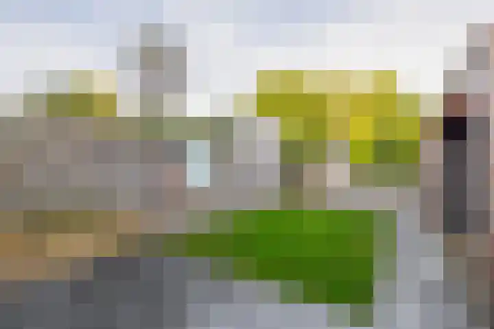 De Brêge 13 Drachtstercompagnie thumbnail 31