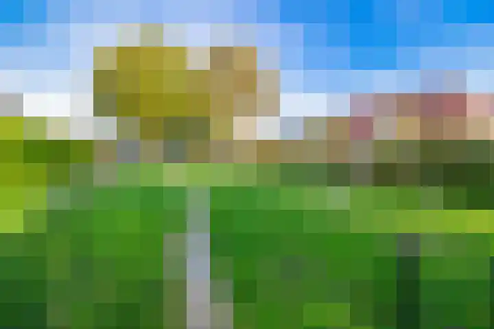 De Brêge 13 Drachtstercompagnie thumbnail 35
