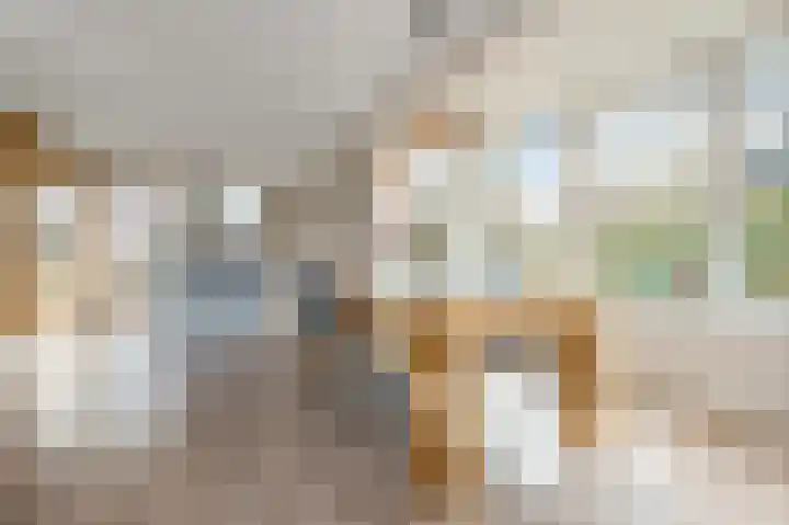 De Bregjesakker 14 Koedijk thumbnail 10