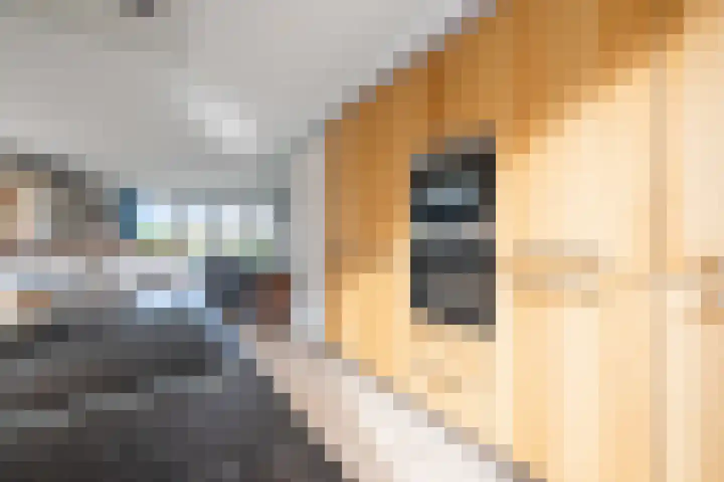 De Bregjesakker 14 Koedijk thumbnail 11