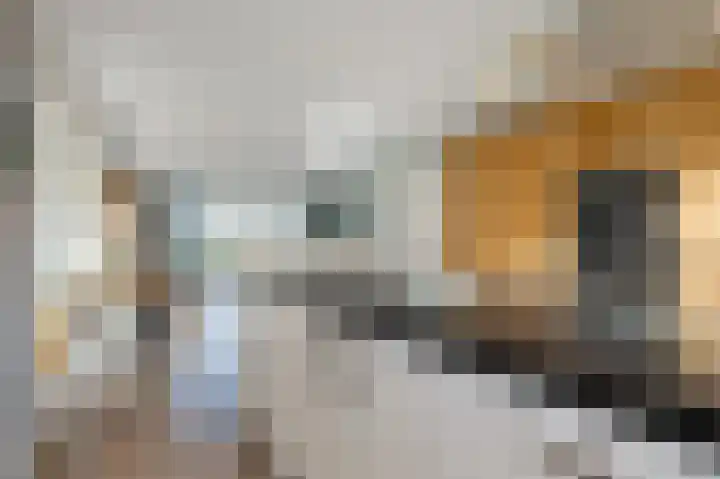 De Bregjesakker 14 Koedijk thumbnail 12