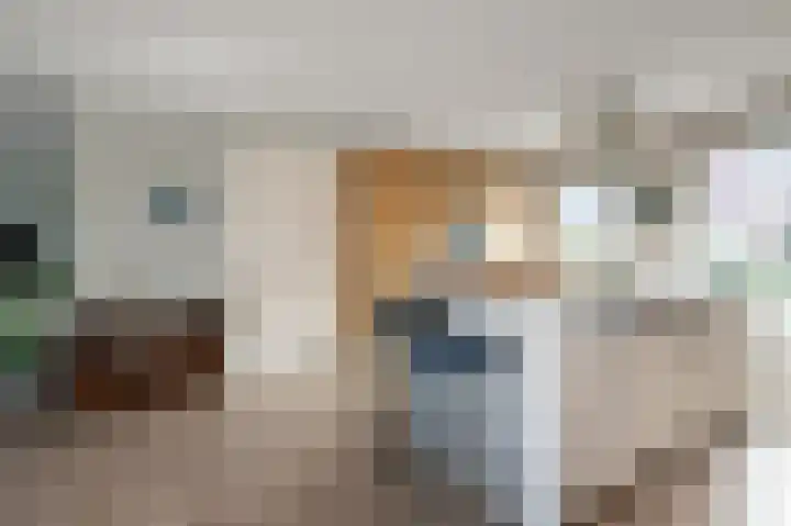 De Bregjesakker 14 Koedijk thumbnail 13