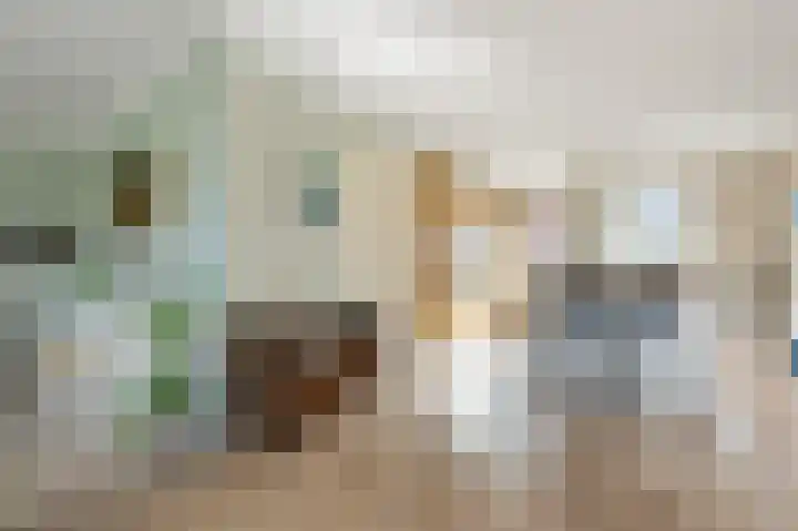 De Bregjesakker 14 Koedijk thumbnail 14
