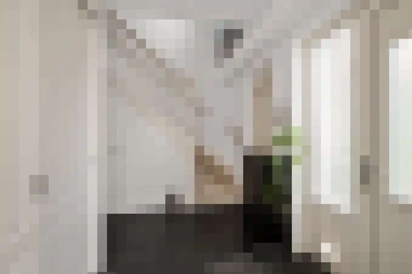 De Bregjesakker 14 Koedijk thumbnail 15