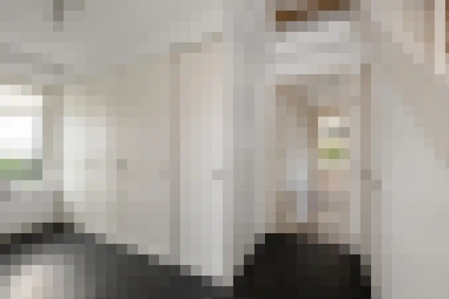 De Bregjesakker 14 Koedijk thumbnail 17