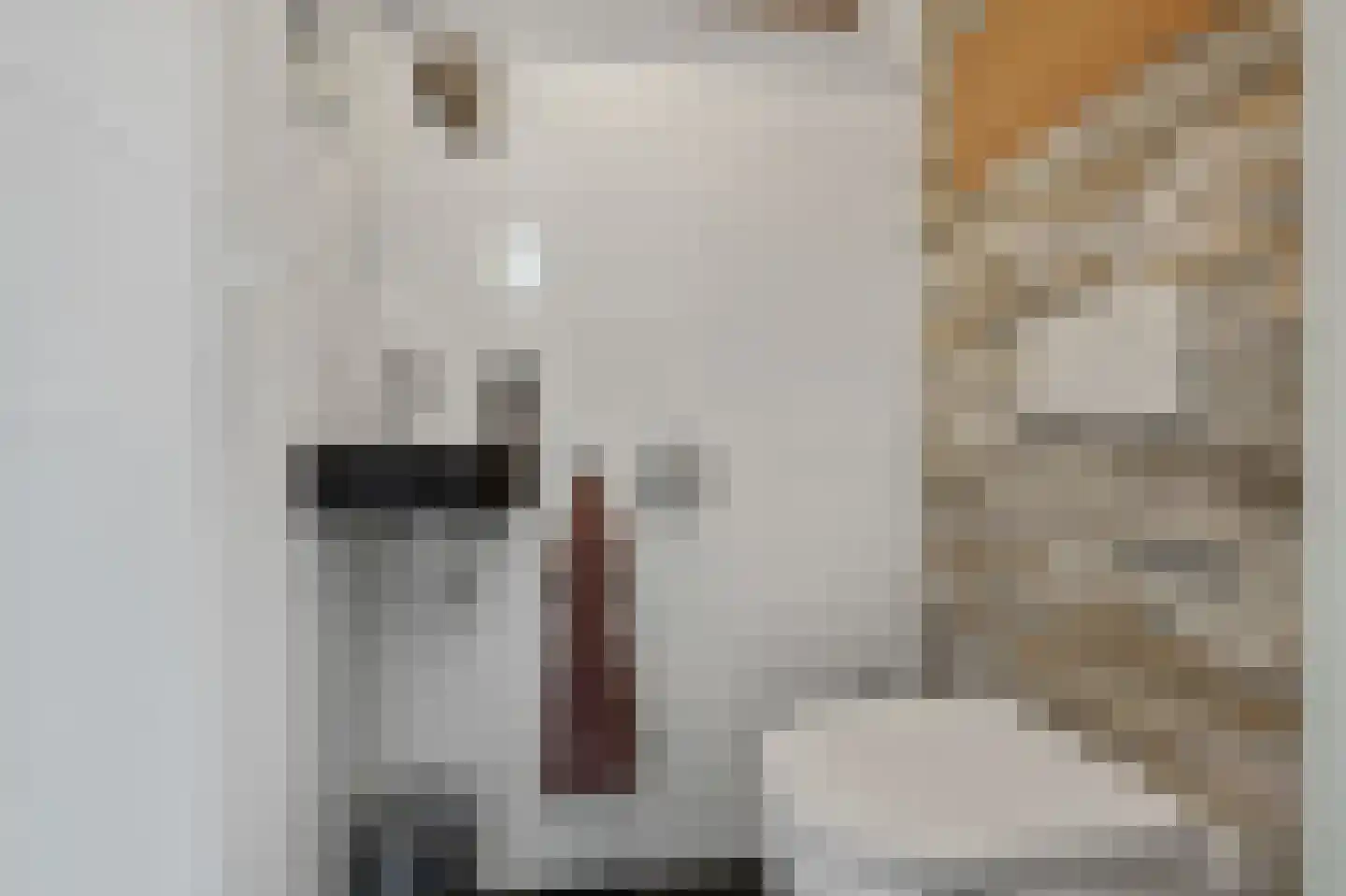 De Bregjesakker 14 Koedijk thumbnail 18