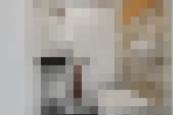 De Bregjesakker 14 Koedijk thumbnail 18