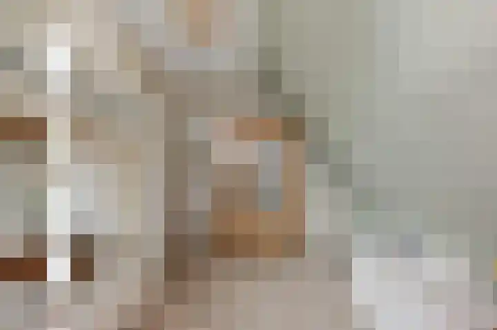 De Bregjesakker 14 Koedijk thumbnail 22