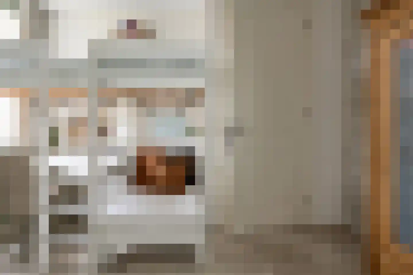 De Bregjesakker 14 Koedijk thumbnail 23