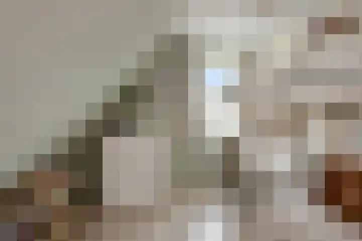 De Bregjesakker 14 Koedijk thumbnail 24