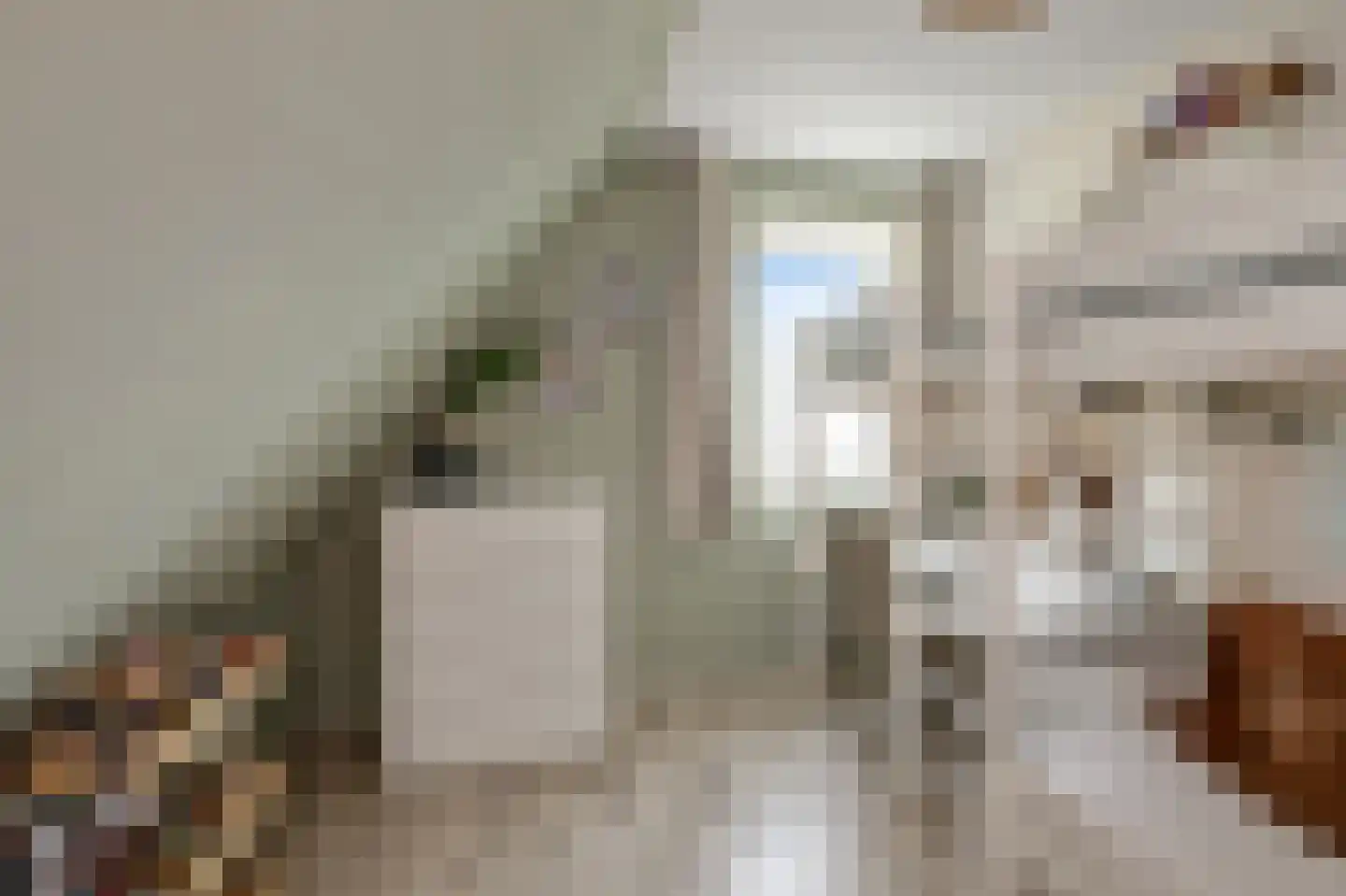 De Bregjesakker 14 Koedijk thumbnail 24