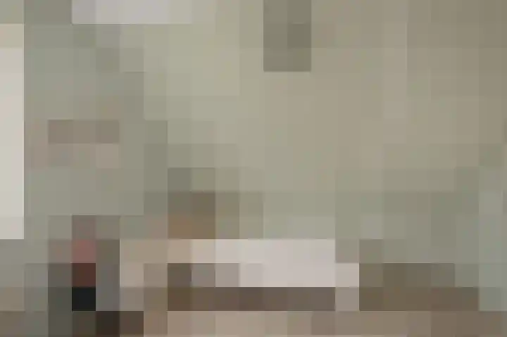 De Bregjesakker 14 Koedijk thumbnail 25