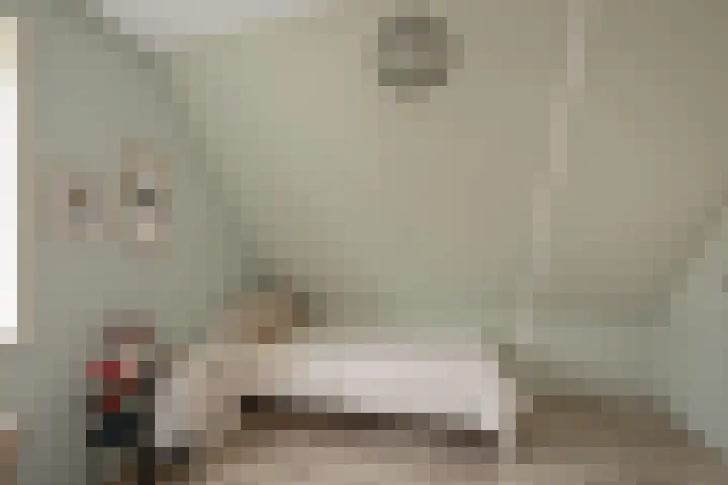 De Bregjesakker 14 Koedijk thumbnail 25
