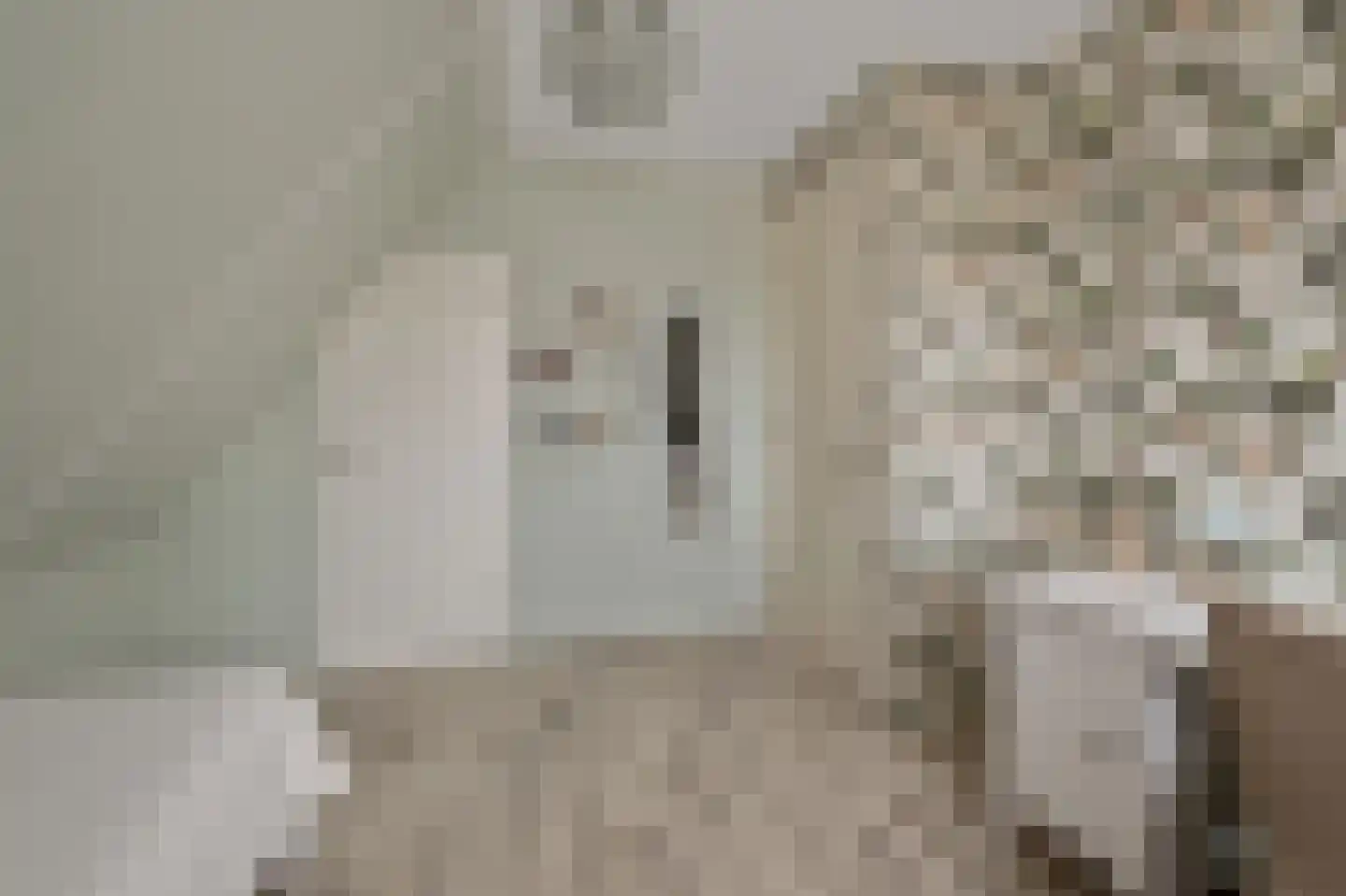 De Bregjesakker 14 Koedijk thumbnail 26