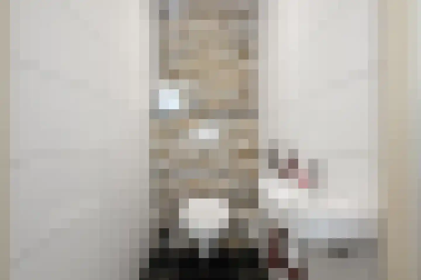 De Bregjesakker 14 Koedijk thumbnail 34