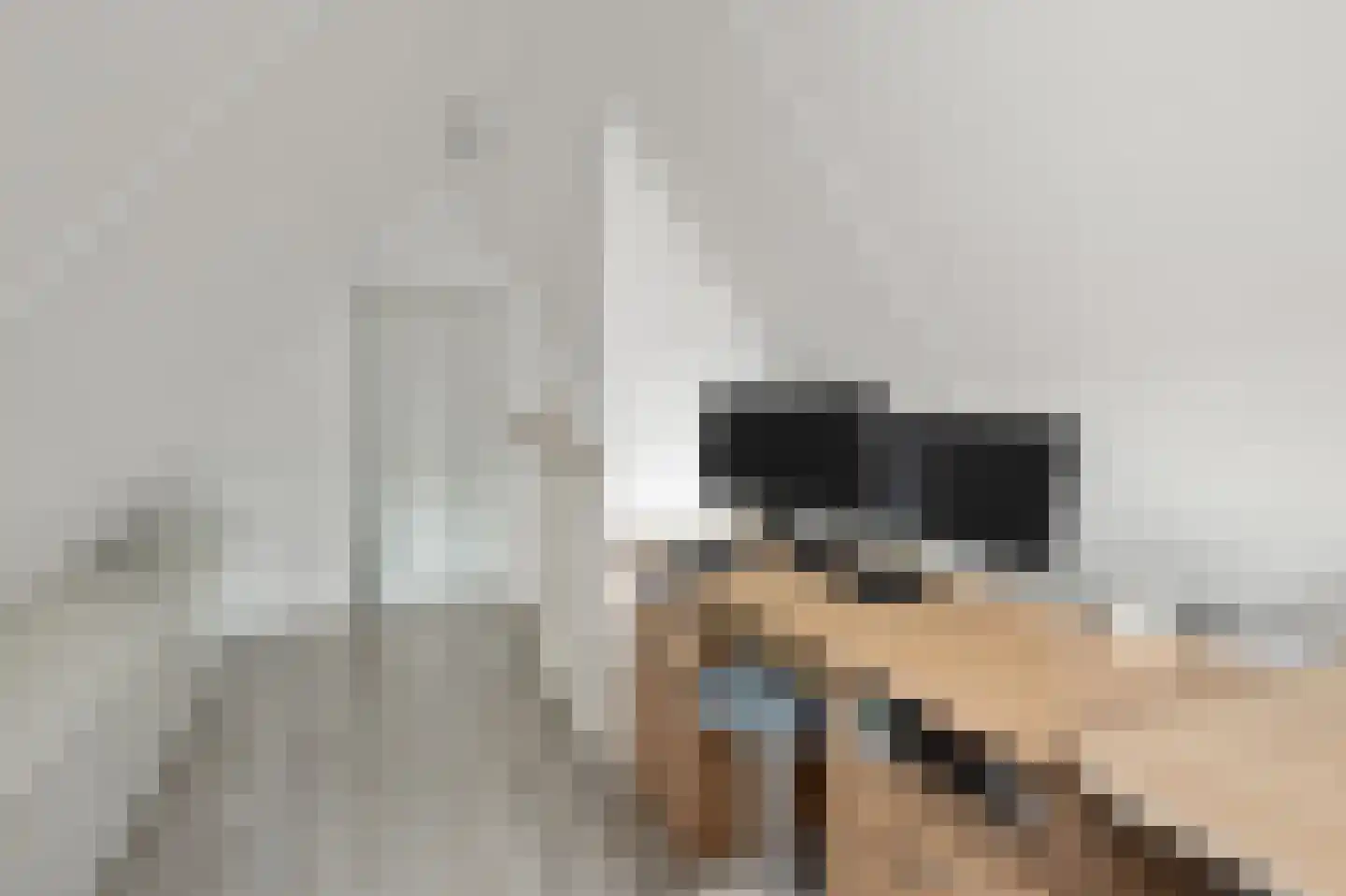 De Bregjesakker 14 Koedijk thumbnail 37