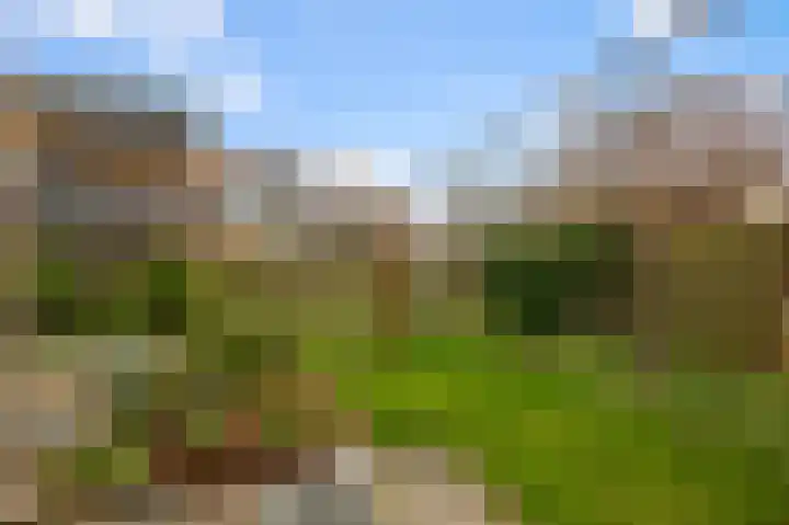De Bregjesakker 14 Koedijk thumbnail 42